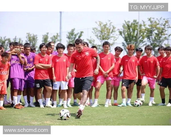 足球史上因伤遭遇重大打击的顶级球星回顾与分析